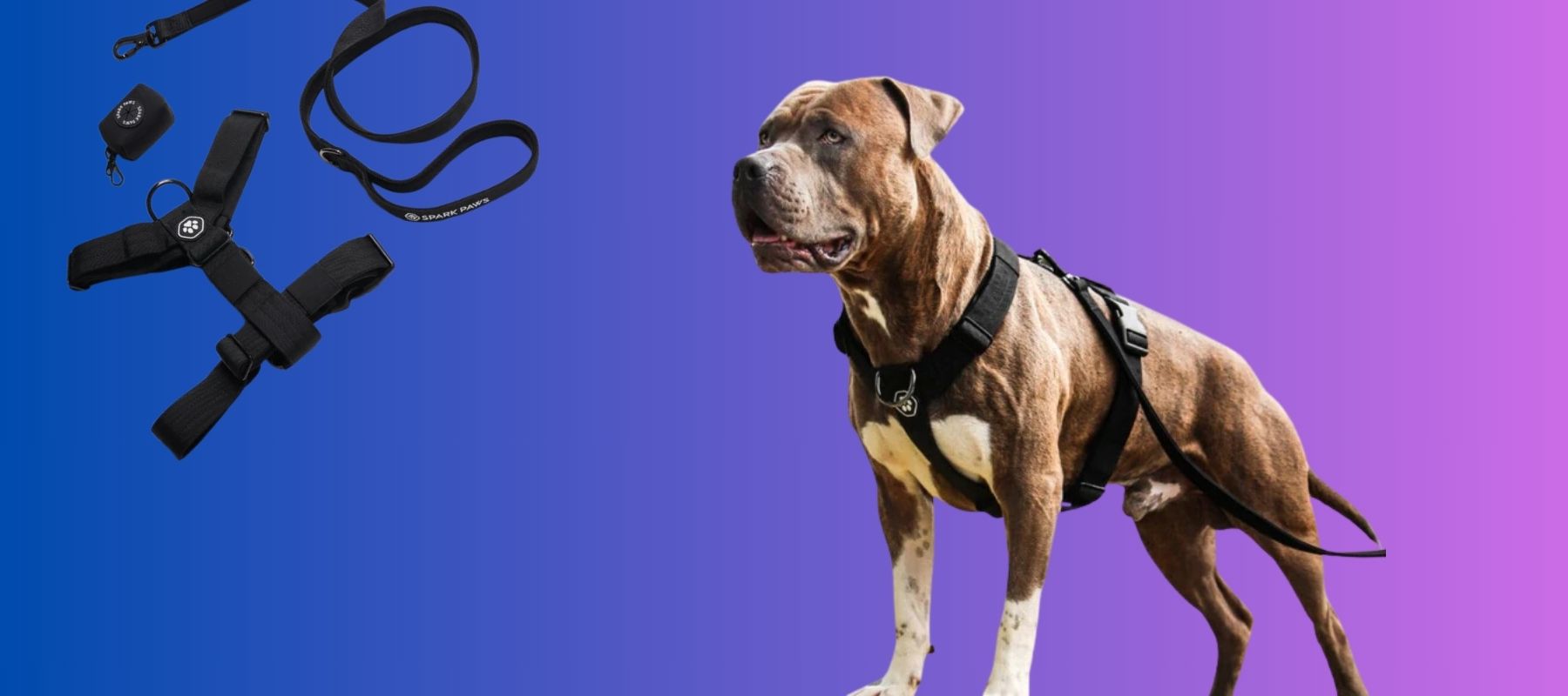 Harness for pitbulls to stop pulling best sale