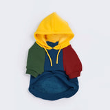 Primary Color Hoodie