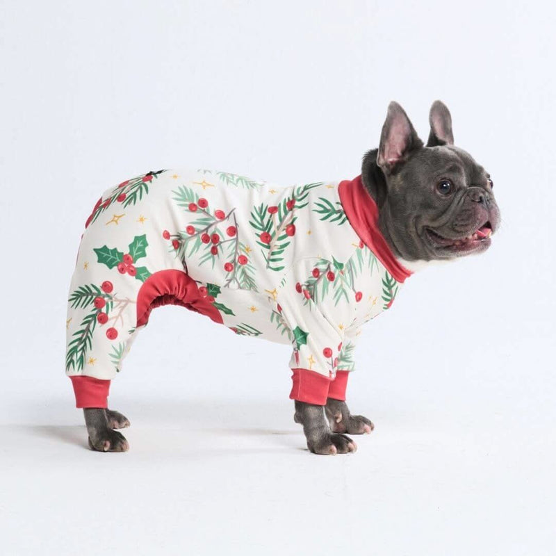 Dog xmas pajamas sale