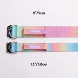 Pastel Icing Collar