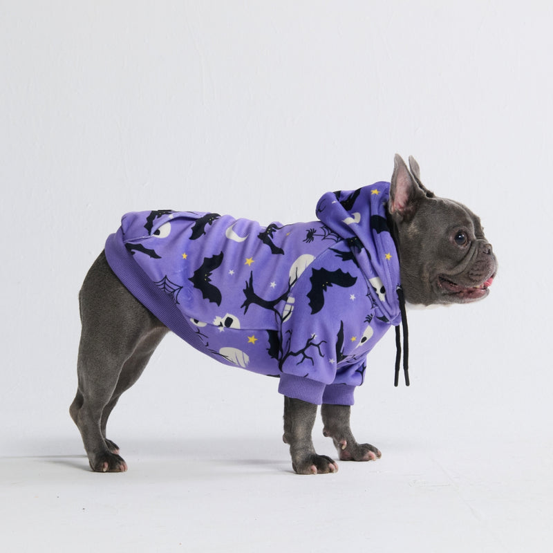 Halloween Dog Hoodie - Purple