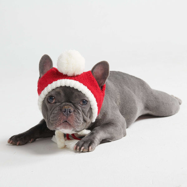 Knit Pom Pom Dog Beanie Hat - Santa