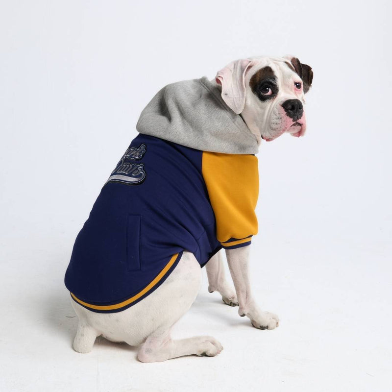 Dog Varsity Jacket - Blauw Geel