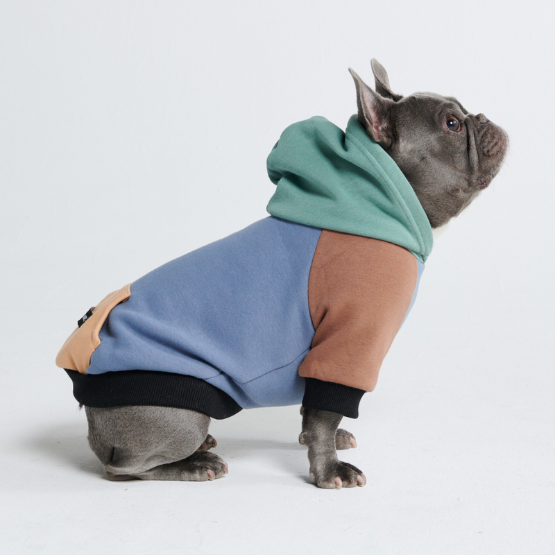 Alpine Hond Hoodie