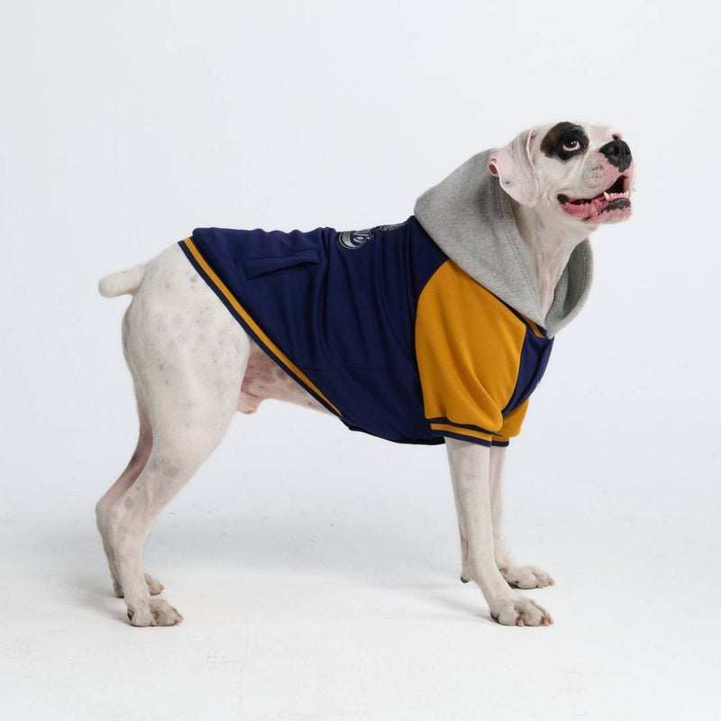 Dog Varsity Jacket - Blauw Geel