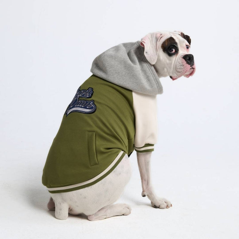 Dog Varsity Jacket - Green