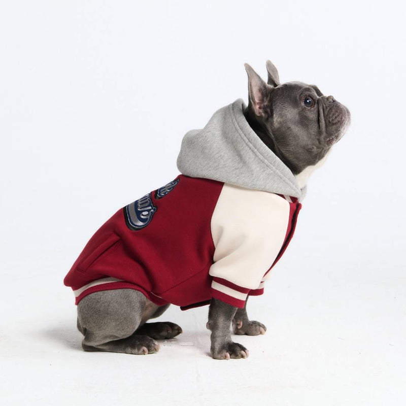 Dog Varsity Jacket - Red