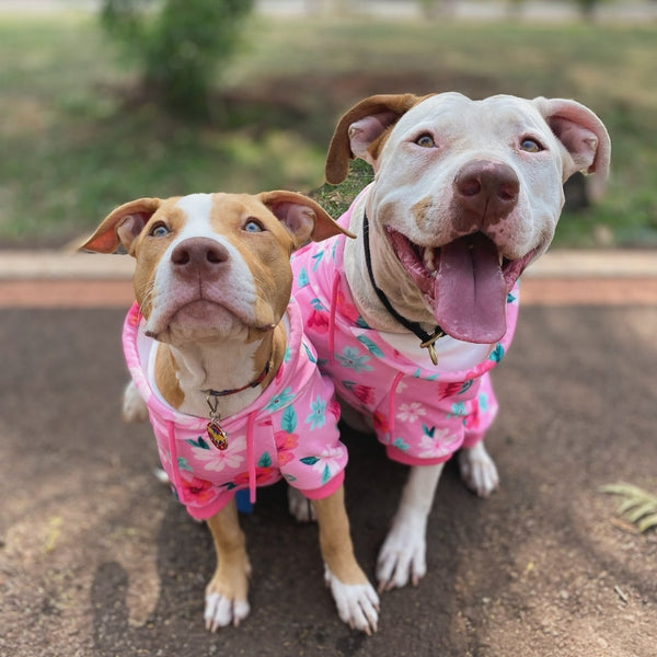 Blossom Dog Hoodie - Pink