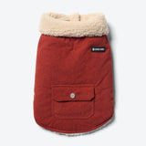 Corduroy Insulated Jacket - Amber