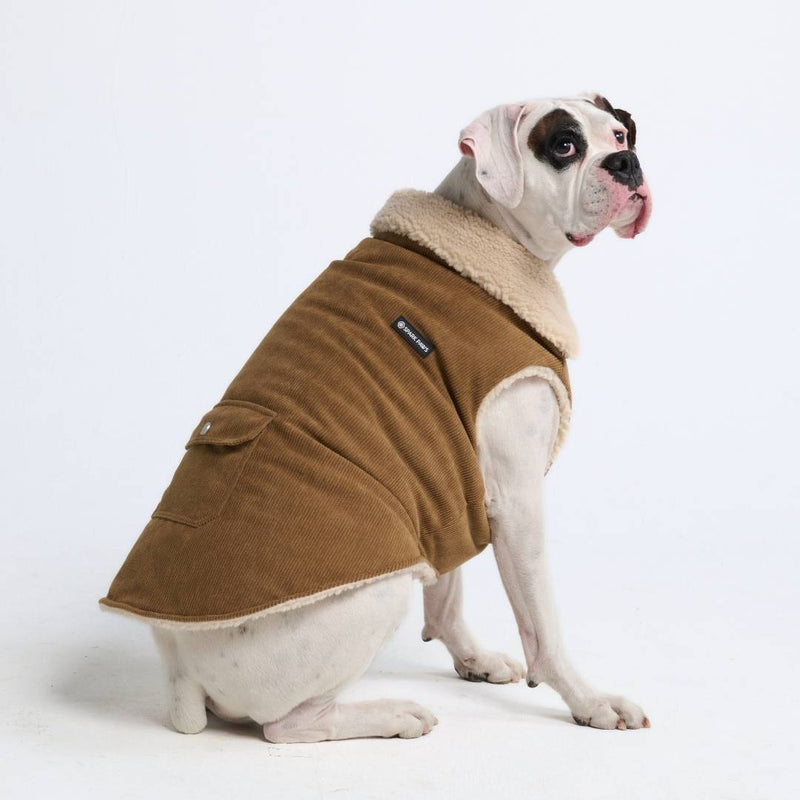 Corduroy Insulated Jacket - Bruin