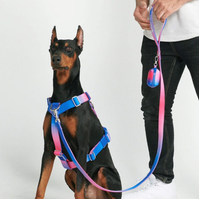 Snow Cone Neoprene Leash