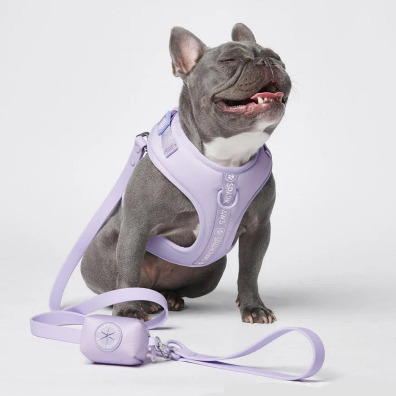 Leash and Poop Bag Holder Set - Lilac