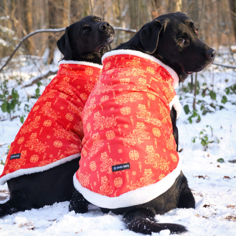 Lunar New Years Vest - Jaar van de Slang