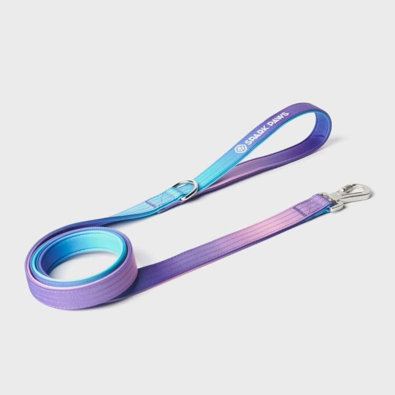 90s Retro Neoprene Leash