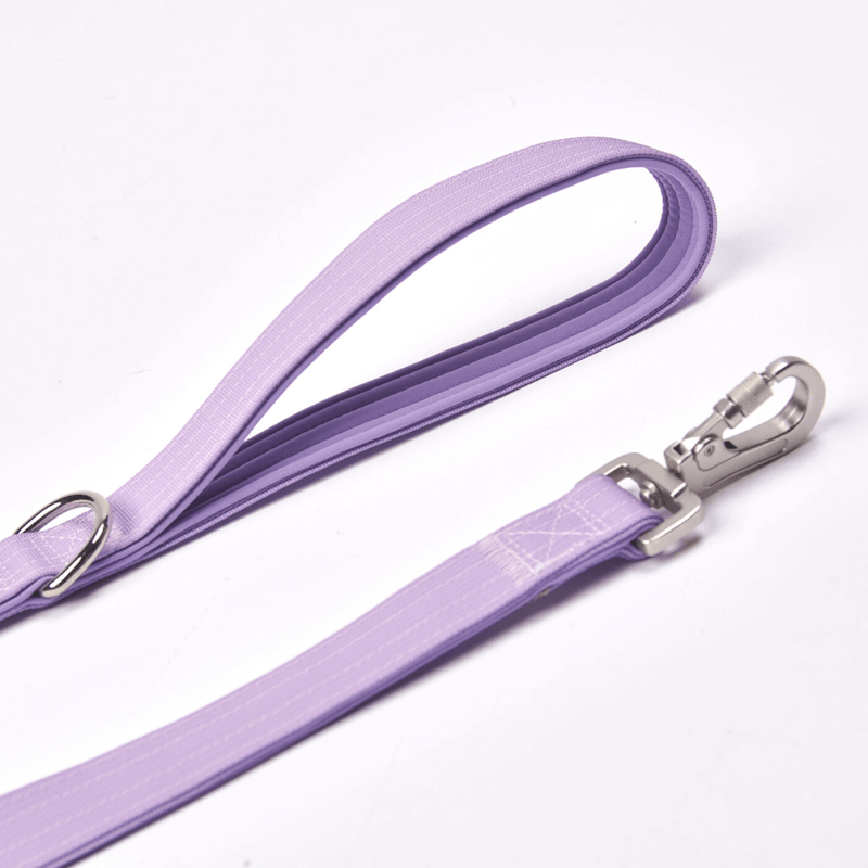 Lilac Neoprene Leash