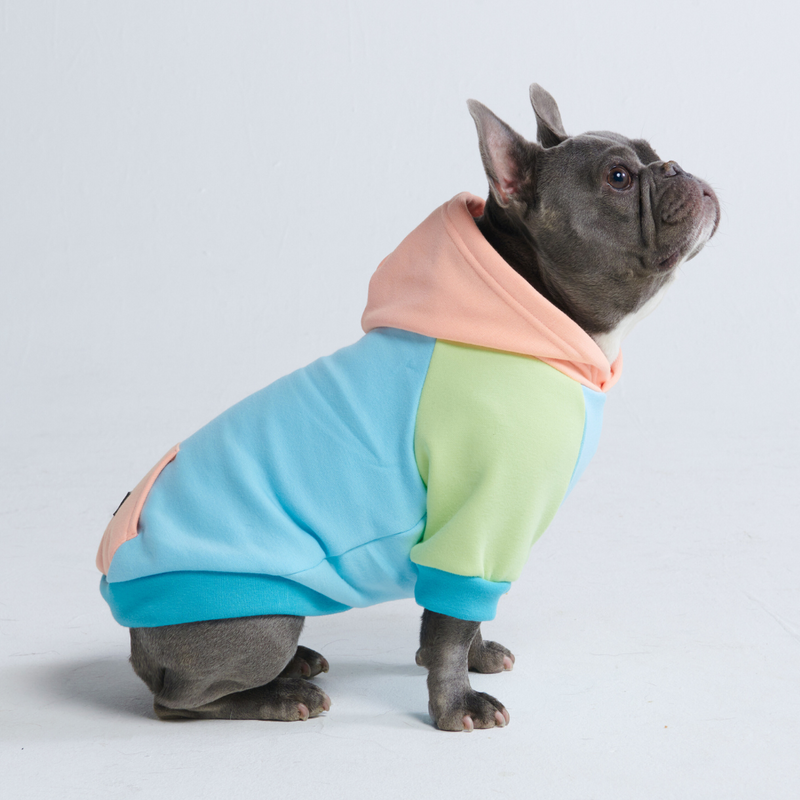 Jelly Bean Dog Hoodie