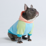 Jelly Bean Dog Hoodie