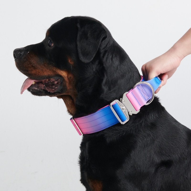 Snow Cone Collar