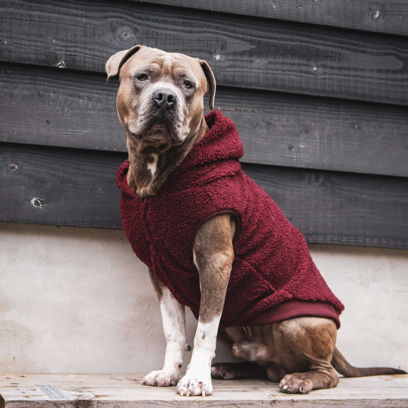 Maroon Sherpa Jacket