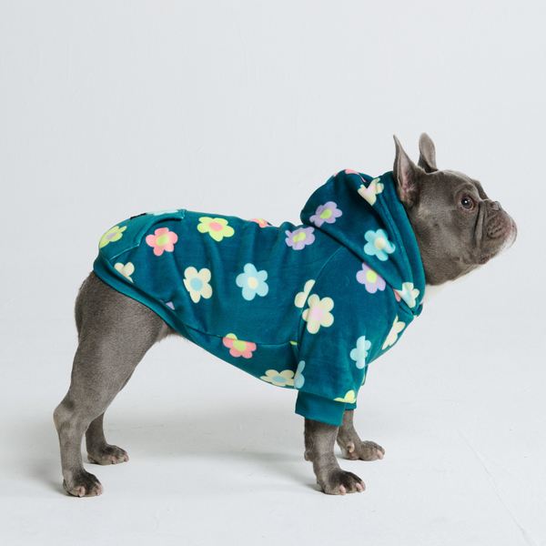 Daisy Honden-Hoodie - Groen