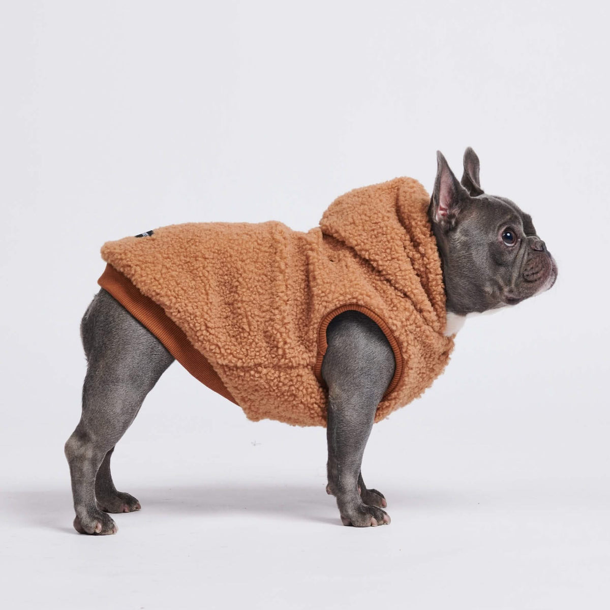 Sherpa fashion dog jacket