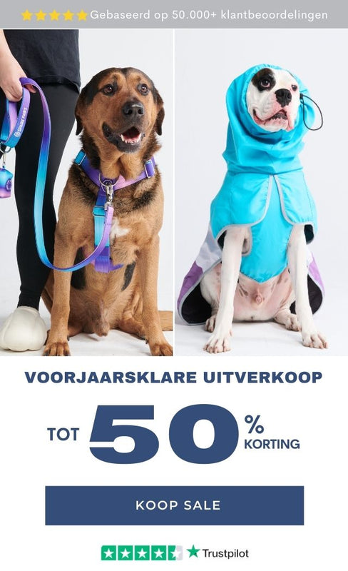 Dog Pajama Onesies – SPARK PAWS