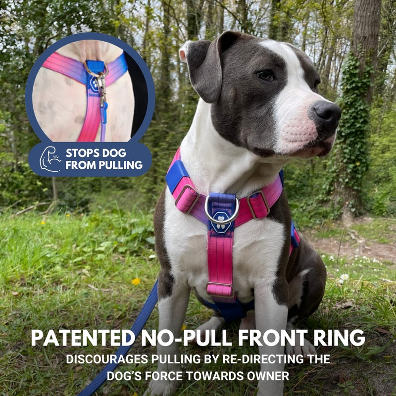 Comfort Control No-Pull Dog Harness - Snow Cone