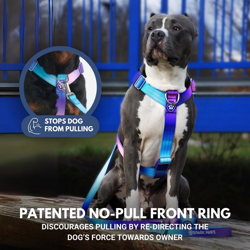 Comfort Control No-Pull Dog Harness Set - 90s Retro