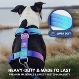 Comfort Control No-Pull Dog Harness Set - 90s Retro