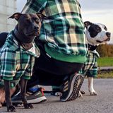 Green Plaid Hoodie