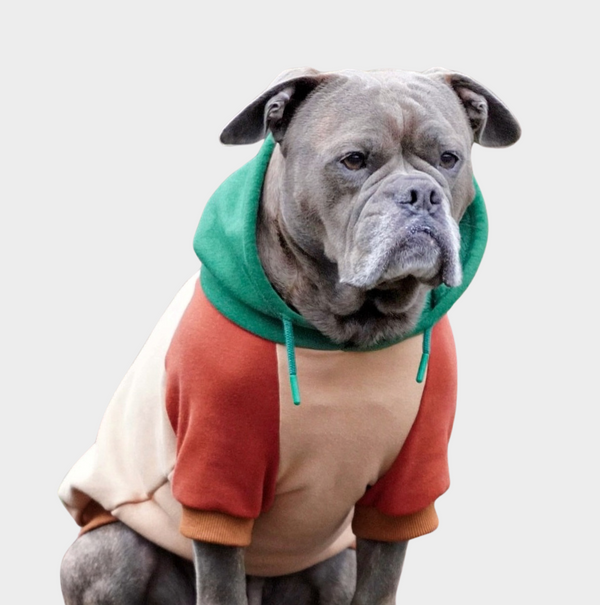 Ranger Honden-Hoodie