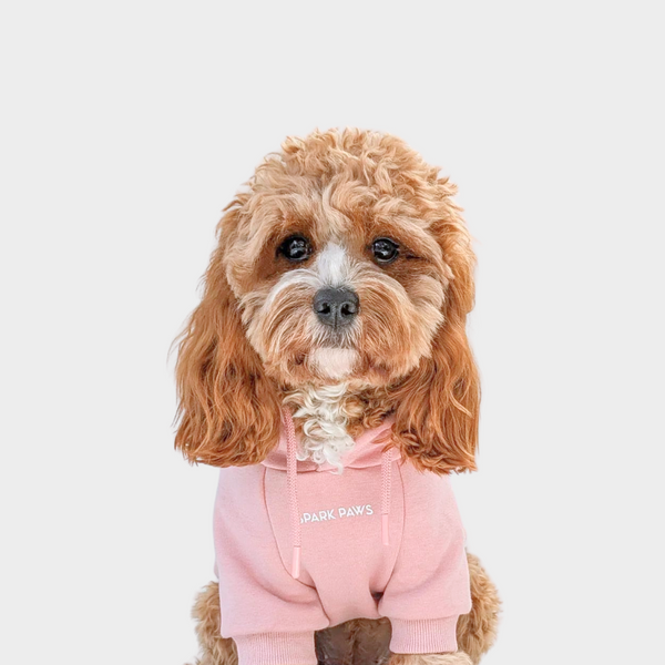 Essential Dog Hoodie - Dusty Pink