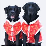 Lunar New Years Vest - Jaar van de Slang