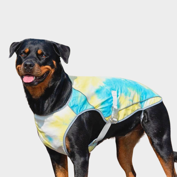 Dog Cooling Vest - Tropical Storm