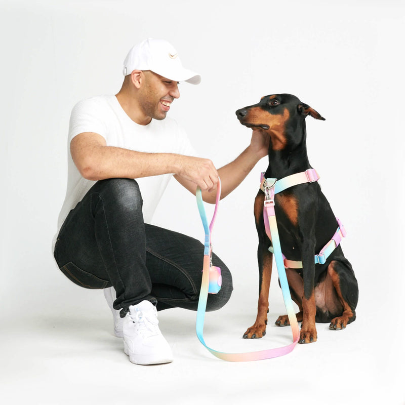 Pastel Icing Harness