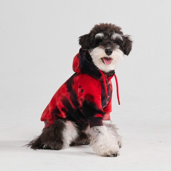 Velvet Dog Hoodie - Red & Black