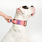 Kaleidoscope Collar