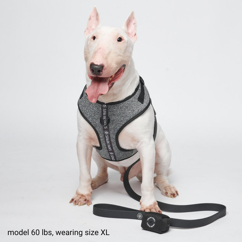 Salt and Pepper Cushion Harness