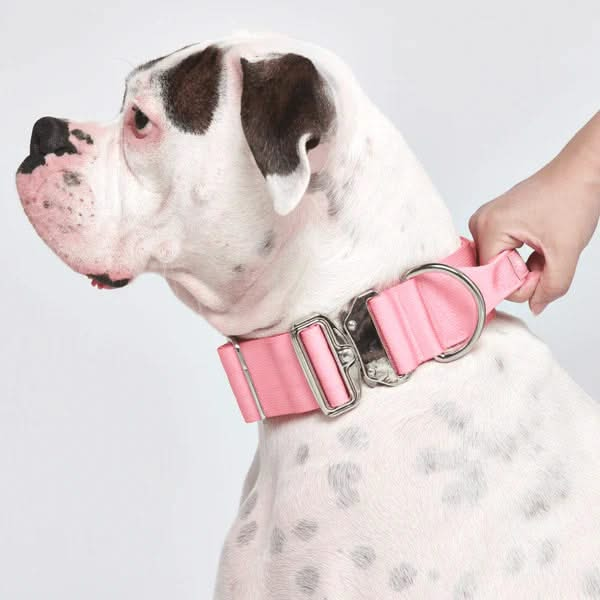 Comfort Control Dog Collars